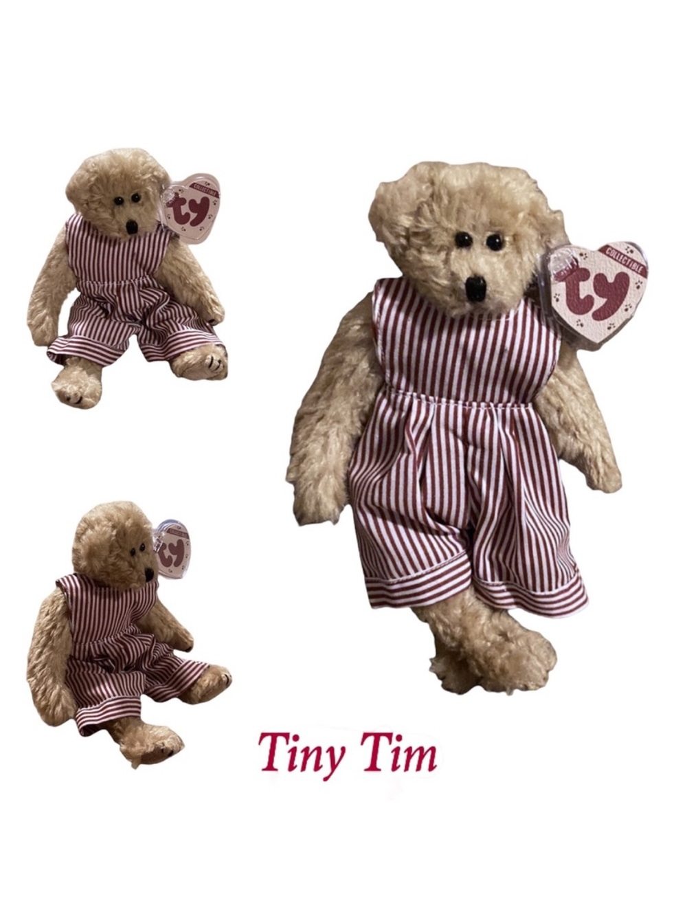Tiny Tim The Bear Rare Ty Attic Treasures